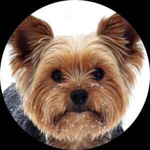 Meet your Posher, Isidore